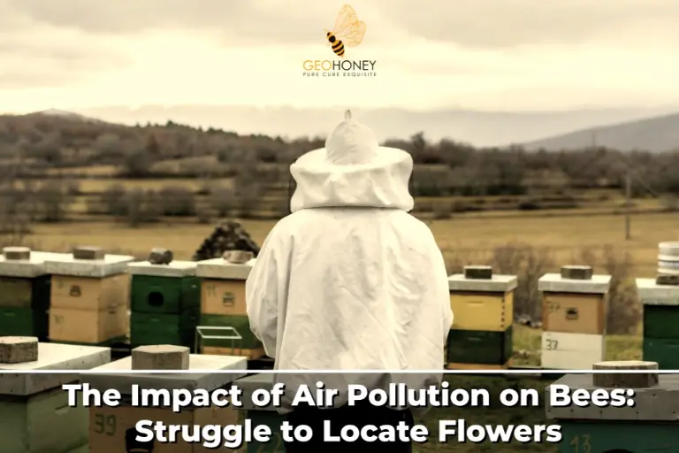 Struggle to Locate Flowers: Impact of Air Pollution on Bees